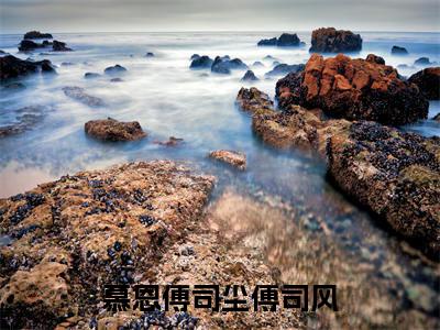 慕恩傅司尘傅司风（慕恩傅司尘傅司风）小说-慕恩傅司尘傅司风小说免费最新章节列表