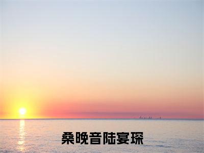 桑晚音陆宴琛小说（陆宴琛桑晚音）全文免费阅读无弹窗大结局_桑晚音陆宴琛小说免费阅读_笔趣阁（陆宴琛桑晚音小说）