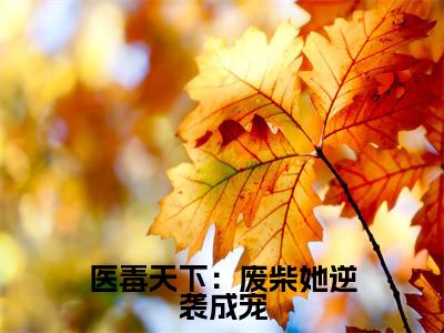 医毒天下：废柴她逆袭成宠（ 凤云瑶帝九殇）全文完整版免费阅读-主角叫 凤云瑶帝九殇的小说医毒天下：废柴她逆袭成宠