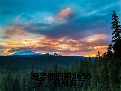 叶浅霍予琛全本资源（暗恋他的第3650天，我放弃了）全文免费阅读无弹窗大结局_暗恋他的第3650天，我放弃了最新章节列表（叶浅霍予琛）