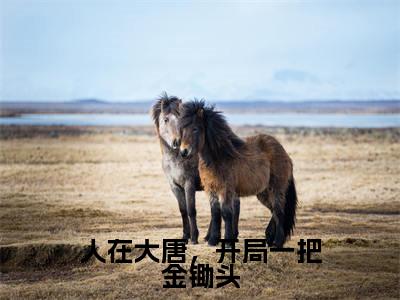 人在大唐，开局一把金锄头知乎小说全文免费阅读_（人在大唐，开局一把金锄头）采小兰知乎小说最新章节列表笔趣阁