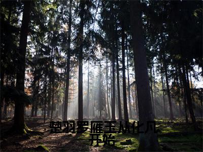 从化凡开始（ 楚羽罗雁玉）全文免费阅读无弹窗大结局_从化凡开始最新章节列表_笔趣阁