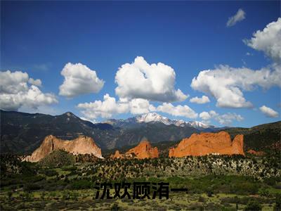 顾洧一沈欢全文（沈欢顾洧一）全文免费阅读无弹窗大结局_沈欢顾洧一免费最新章节列表_笔趣阁