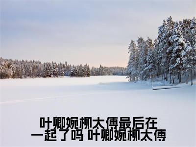叶卿婉柳太傅最后在一起了吗是什么小说- 叶卿婉柳太傅全文免费阅读无弹窗大结局（叶卿婉柳太傅最后在一起了吗）最新章节阅读