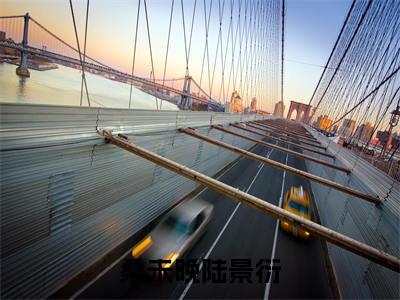 桑未晚陆景衍（陆景衍桑未晚）免费阅读无弹窗-小说桑未晚陆景衍大结局全文免费阅读