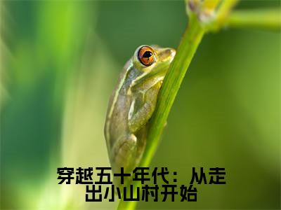 周兴然贺安安（穿越五十年代：从走出小山村开始）全文免费阅读无弹窗_穿越五十年代：从走出小山村开始最新小说_笔趣阁（周兴然贺安安）