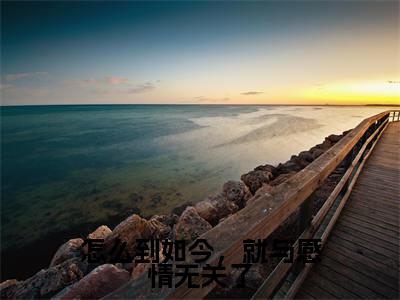 沈阙温天柔小说免费阅读全文（沈阙温天柔）全文免费阅读无弹窗大结局_怎么到如今，就与感情无关了最新章节列表_笔趣阁（沈阙温天柔）