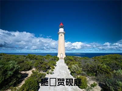 施婳贺砚庭小说讲的是什么-贺砚庭施婳精彩章节目录观看