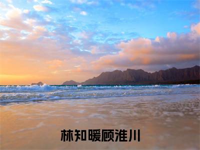 林知暖顾淮川（顾淮川林知暖全文）全文免费阅读无弹窗大结局_（顾淮川林知暖）林知暖顾淮川全文小说最新章节列表笔趣阁（顾淮川林知暖全文）