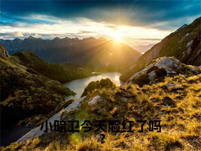 魔云兮叶天程精选热门小说 小暗卫今天脸红了吗？已完结全集大结局