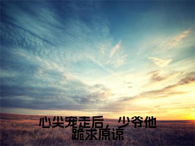心尖宠走后，少爷他跪求原谅（韩祈岑汐柚）全文免费阅读无弹窗大结局_心尖宠走后，少爷他跪求原谅免费阅读无弹窗