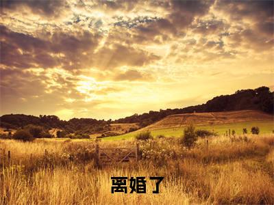  林茵周易泽（离婚了，别耽误我成首富）全文免费阅读无弹窗大结局_ 林茵周易泽最新章节列表_笔趣阁