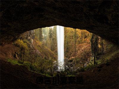 傅言川夏繁星（夏繁星傅言川）高质量小说免费阅读_傅言川夏繁星最新章节列表_笔趣阁