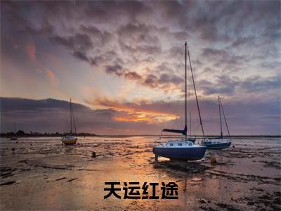 天运红途全文免费在线阅读_ 秦天明尹书全文免费阅读无弹窗大结局