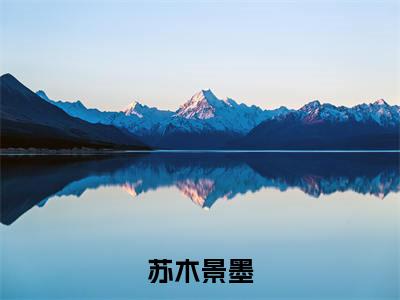 （苏木景墨）全文免费阅读无弹窗大结局_（景墨苏木）章节列表_笔趣阁