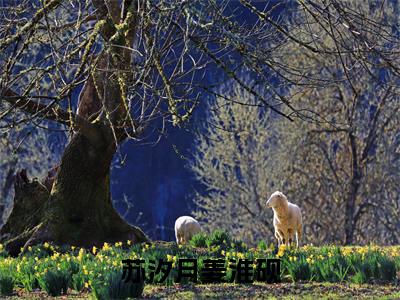 苏汐月姜淮砚全文（苏汐月姜淮砚）完整版小说阅读无删减_（苏汐月姜淮砚）苏汐月姜淮砚全本列表免费笔趣阁（苏汐月姜淮砚）