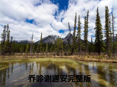 追你时你高冷，我嫁人了你哭什么珍藏美文读物 乔吟谢遇安- 乔吟谢遇安已完结全集大结局小说追你时你高冷，我嫁人了你哭什么