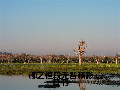  柳之恒段无咎免费阅读无弹窗大结局，穿成状元糟糠妻后，和反派苟合了小说最新章节