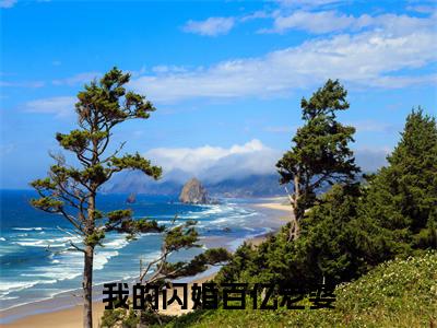 我的闪婚百亿老婆( 秦宇颜明玉)全文免费阅读_我的闪婚百亿老婆（ 秦宇颜明玉在线小说免费阅读）全文阅读