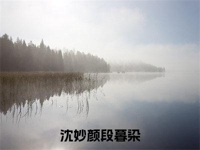 沈妙颜段暮染小说全文免费阅读正版 段暮染沈妙颜免费阅读无弹窗