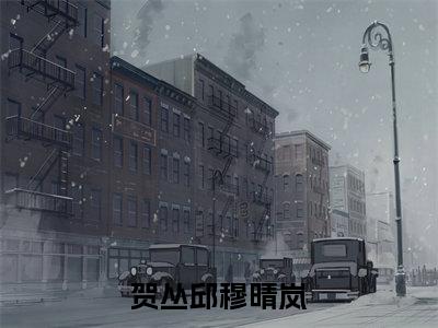 贺丛邱穆晴岚小说全文免费阅读 （穆晴岚贺丛邱）免费阅读全文免费阅读无弹窗大结局