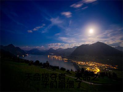 天命掠夺者，天命之子们崩溃了小说全文免费阅读无弹窗大结局-东方破 小说在哪里可以看