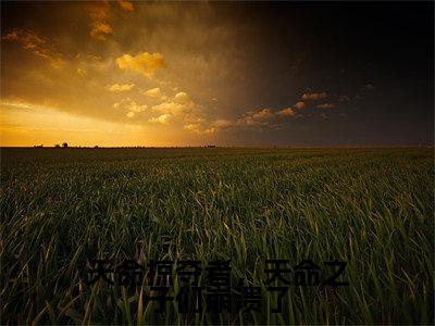 天命掠夺者，天命之子们崩溃了（东方破）全文免费阅读无弹窗大结局_天命掠夺者，天命之子们崩溃了（东方破）全文阅读_笔趣阁（天命掠夺者，天命之子们崩溃了）