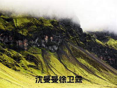 徐卫霖沈曼曼小说全文（沈曼曼徐卫霖）全文免费阅读无弹窗大结局_沈曼曼徐卫霖小说免费最新章节列表_笔趣阁（徐卫霖沈曼曼）