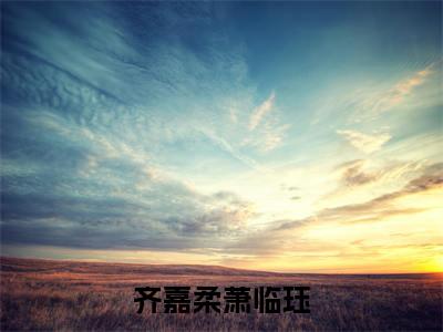齐嘉柔萧临珏（萧临珏齐嘉柔）全文免费阅读无弹窗大结局_（齐嘉柔萧临珏）最新章节列表_笔趣阁