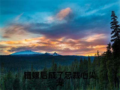 错嫁后成了总裁心尖宠（顾曦绾楚凌爵）全文免费阅读无弹窗大结局_错嫁后成了总裁心尖宠(顾曦绾楚凌爵)最新章节列表_笔趣阁（顾曦绾楚凌爵）
