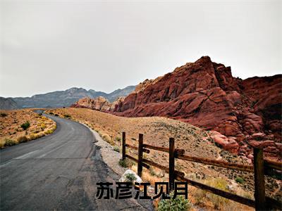 苏彦江见月（苏彦江见月）新上热文小说讲的是什么-小说苏彦江见月（苏彦江见月）全文免费阅读