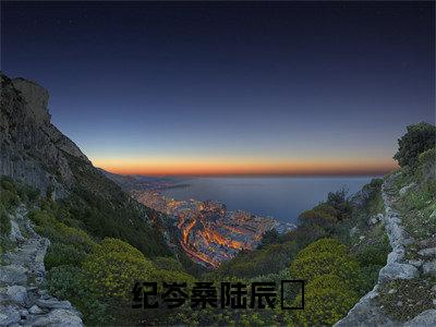 纪岑桑陆辰晞（陆辰晞纪岑桑）全文免费阅读无弹窗大结局_陆辰晞纪岑桑(陆辰晞纪岑桑小说免费阅读)_笔趣阁
