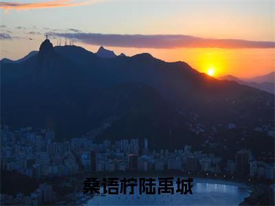 桑语柠陆禹城（陆禹城桑语柠）全文免费在线阅读_桑语柠陆禹城全文阅读_笔趣阁（陆禹城桑语柠）