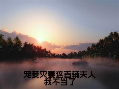 宠妾灭妻这首辅夫人我不当了（苏青玉云奕霄）经典小说全文免费阅读无弹窗_（苏青玉云奕霄）小说全文免费阅读最新章节_笔趣阁