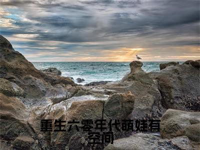 陈默邵锦成（重生六零年代萌娃有空间）免费阅读无弹窗大结局-重生六零年代萌娃有空间完整版最新阅读