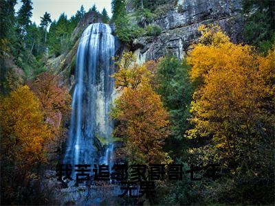 我苦追邻家哥哥七年无果（桑初禾陆烬时）全文免费阅读无弹窗-桑初禾陆烬时小说完整版在线阅读