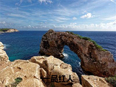  秦阳方媛（一品红人）精彩满分小说-强烈推荐一品红人（ 秦阳方媛）小说精彩全文阅读