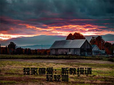 时宁靳宴（时宁靳宴）全文免费阅读_时宁靳宴（独家偏爱：靳教授请轻轻吻）最新章节列表笔趣阁