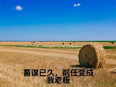 ﻿沈清溪江浔风（蓄谋已久，前任变成我老板）全文免费阅读无弹窗大结局_（沈清溪江浔风）蓄谋已久，前任变成我老板最新章节列表_笔趣阁（蓄谋已久，前任变成我老板）