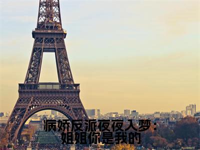 病娇反派夜夜入梦：姐姐你是我的（沈夏）最火免费小说最新更新-病娇反派夜夜入梦：姐姐你是我的（沈夏）全文已更新最新章节