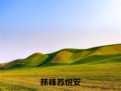 林峰苏悦安 苏悦安林峰小说（苏悦安林峰）全文免费阅读无弹窗大结局_苏悦安林峰小说最新章节列表_笔趣阁