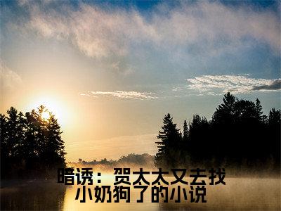  贺庭舟温欲晚小说暗诱：贺太太又去找小奶狗了完整版全文在线赏析-小说 贺庭舟温欲晚全文大结局已完结