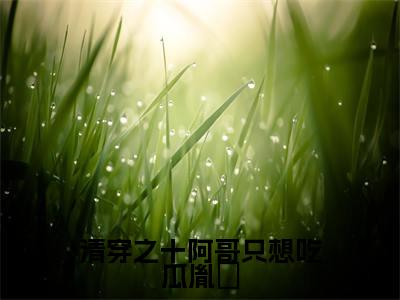 清穿之十阿哥只想吃瓜胤䄉（胤䄉赛罕）全文免费阅读无弹窗大结局_清穿之十阿哥只想吃瓜胤䄉免费阅读无弹窗最新章节列表_笔趣阁