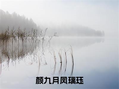 颜九月凤璃珏（凤璃珏颜九月）经典小说全文免费阅读无弹窗_（凤璃珏颜九月）小说全文免费阅读最新章节_笔趣阁