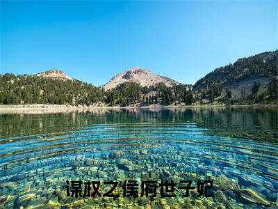 谋权之侯府世子妃小说( 顾北初萧宴之)全文免费阅读无弹窗大结局_(谋权之侯府世子妃小说免费阅读) 顾北初萧宴之无弹窗最新章节列表_笔趣阁（ 顾北初萧宴之）