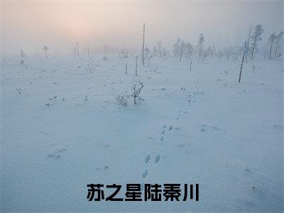 苏之星陆秦川（陆秦川苏之星）最新章节在线阅读-陆秦川苏之星小说苏之星陆秦川在哪里可以看
