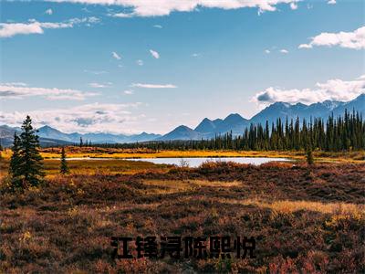 江锋浔陈熙悦（陈熙悦江锋浔）小说全文免费阅读大结局-江锋浔陈熙悦免费阅读无弹窗大结局