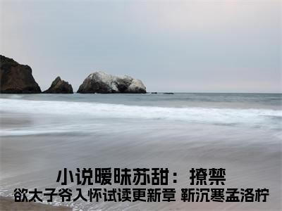 小说暧昧苏甜：撩禁欲太子爷入怀试读更新章（ 靳沉寒孟洛柠）全文免费阅读无弹窗大结局_（ 靳沉寒孟洛柠）章节列表_笔趣阁