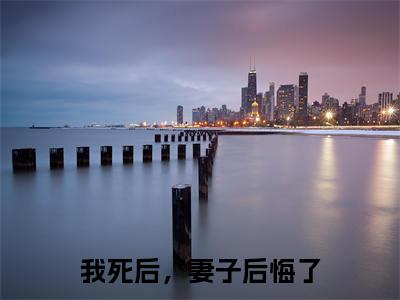 热门小说白落冉林修宇我死后，妻子后悔了全文免费阅读无弹窗大结局-白落冉林修宇全文无弹窗免费阅读大结局