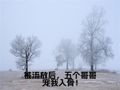 被流放后，五个哥哥宠我入骨！ 颜寒歌小说（颜寒歌）全文免费阅读无弹窗大结局_颜寒歌小说最新章节列表_笔趣阁
